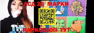 индика Ставрополь