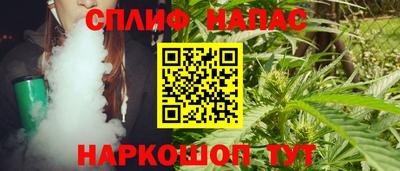 индика Ставрополь