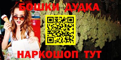 индика Ставрополь