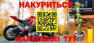 индика Ставрополь