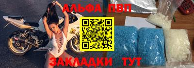 индика Ставрополь