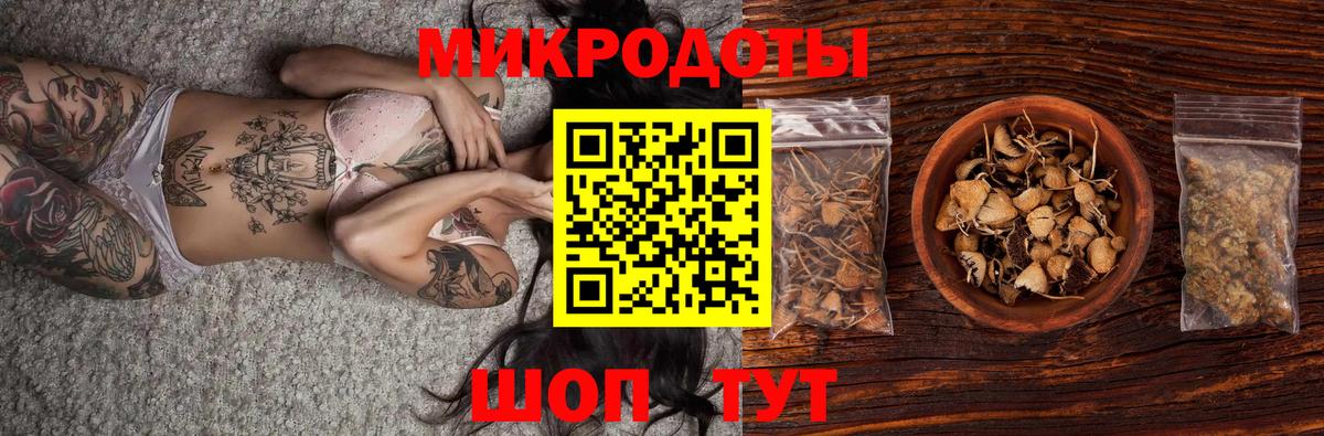 Новосибирск  Псилоцибиновые грибы Psilocybine cubensis  где продают наркотики  Вход с VPN  Галлюциногенные грибы Psilocybe 